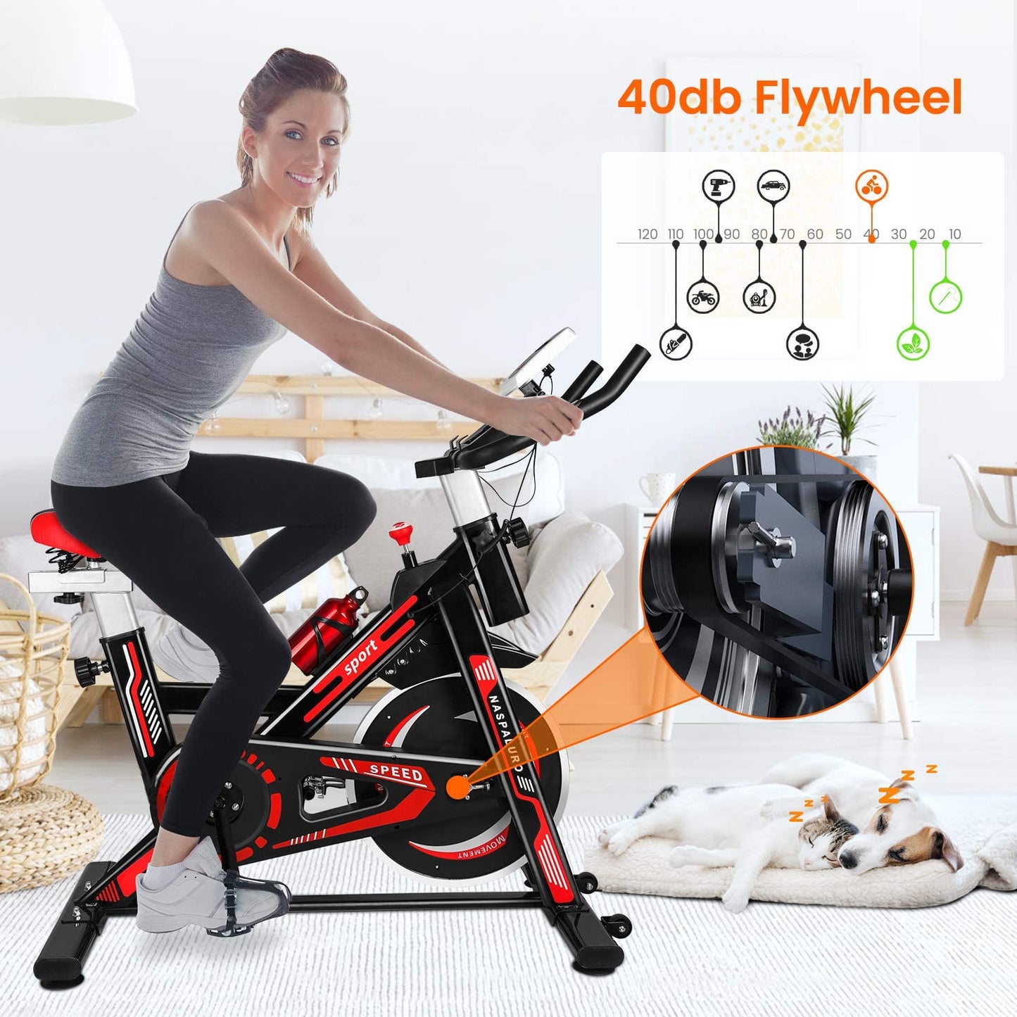 Bicicleta Estatica Spinning Gimnasio Fitness Pro