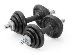 Kit 2 Pesas Pro 12 Discos 20 Kilos Con Maletín